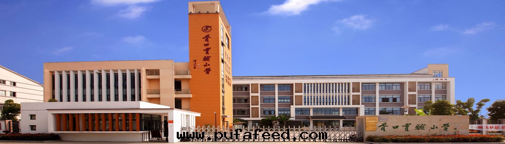 胥口(kǒu)中(zhōng)心(xīn)小學(xué)校(xiào)園(yuán)藝體(tǐ)館(guǎn)