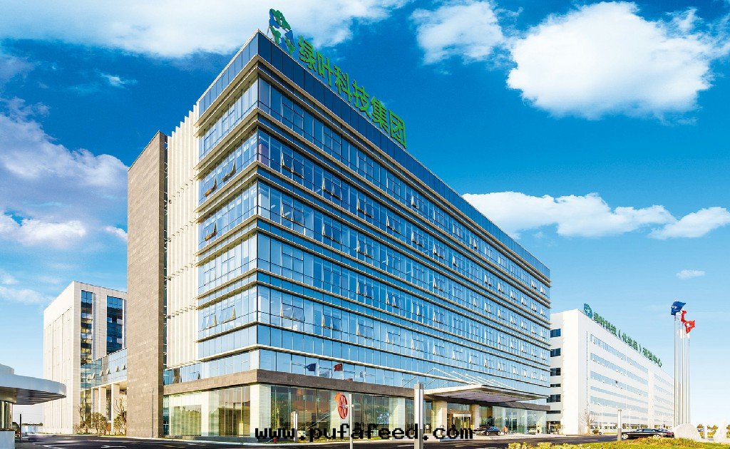 綠(lǜ)葉(yè)集团(tuán)辦(bàn)公(gōng)樓多功能(néng)廳