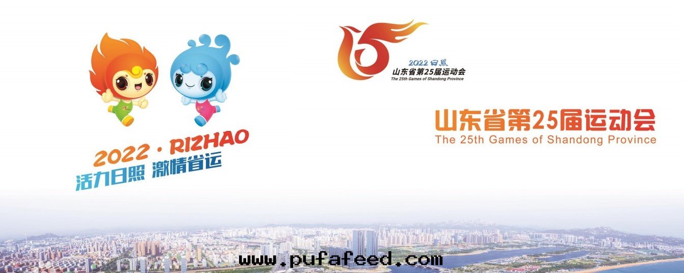 技術(shù)支持(chí)-山(shān)東(dōng)日(rì)照奎山(shān)體(tǐ)育館(guǎn)第(dì)25屆山(shān)東(dōng)省(shěng)运動(dòng)会(huì)